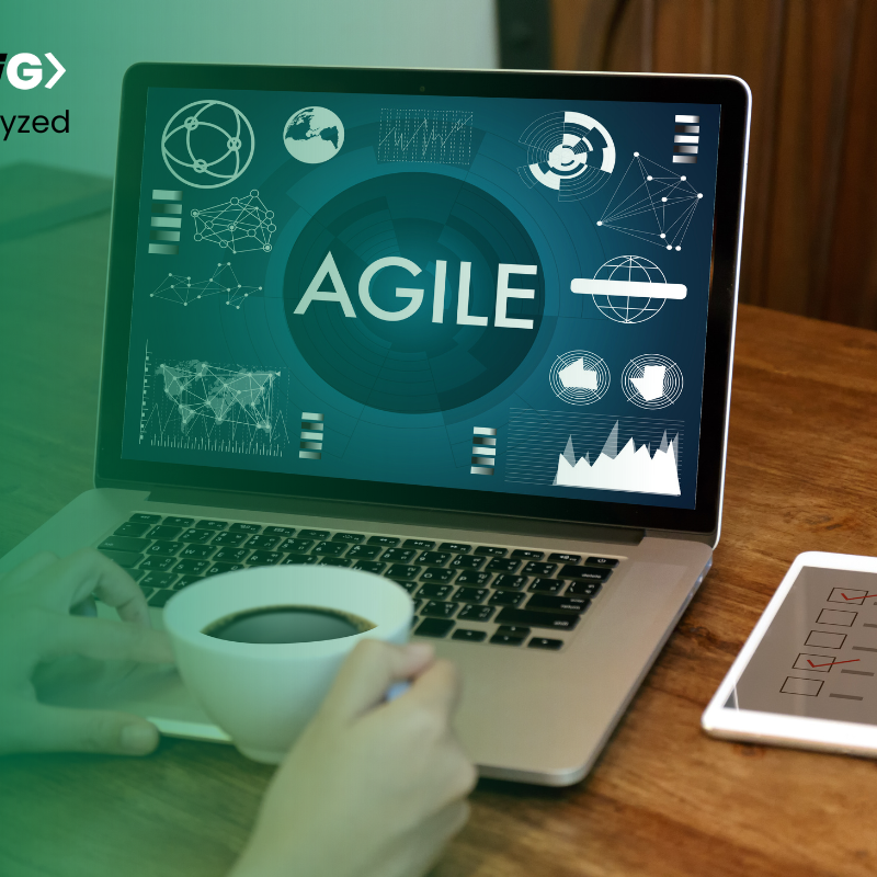 A Beginner's Guide To Agile Testing Process